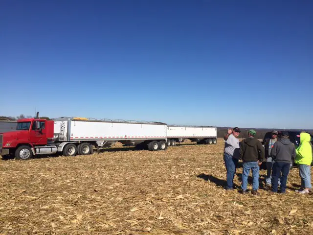 farmers help harvest