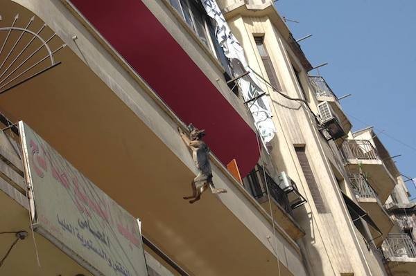 dog jumps off balcony