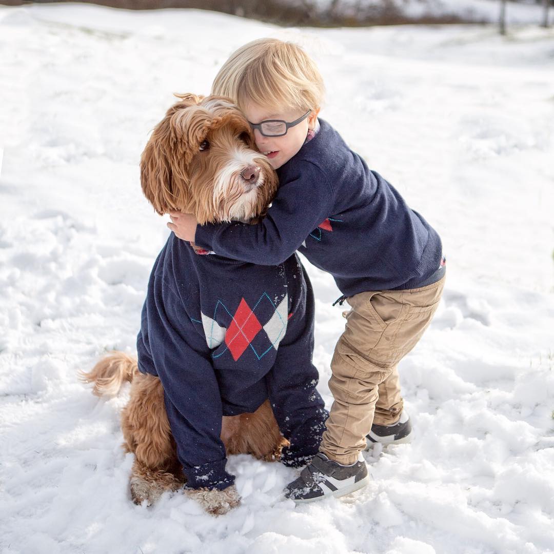 dog and child