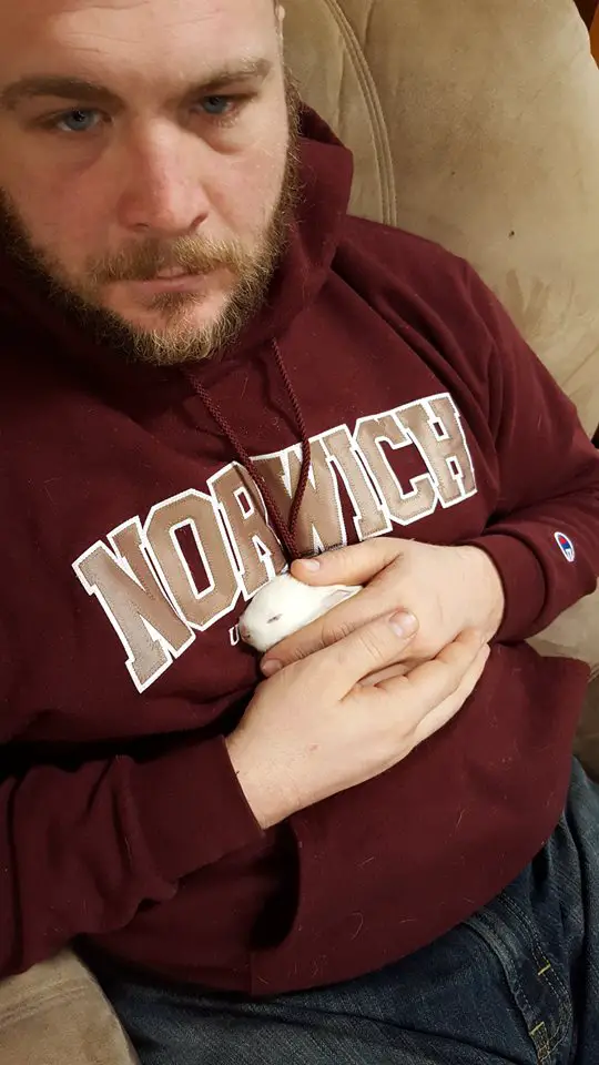 paralyzed bunny