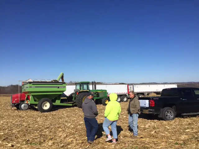 farmers help harvest