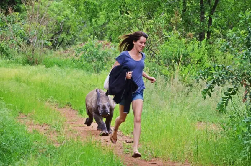 baby rhino rescued