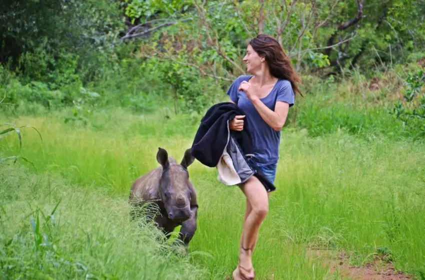 baby rhino rescued