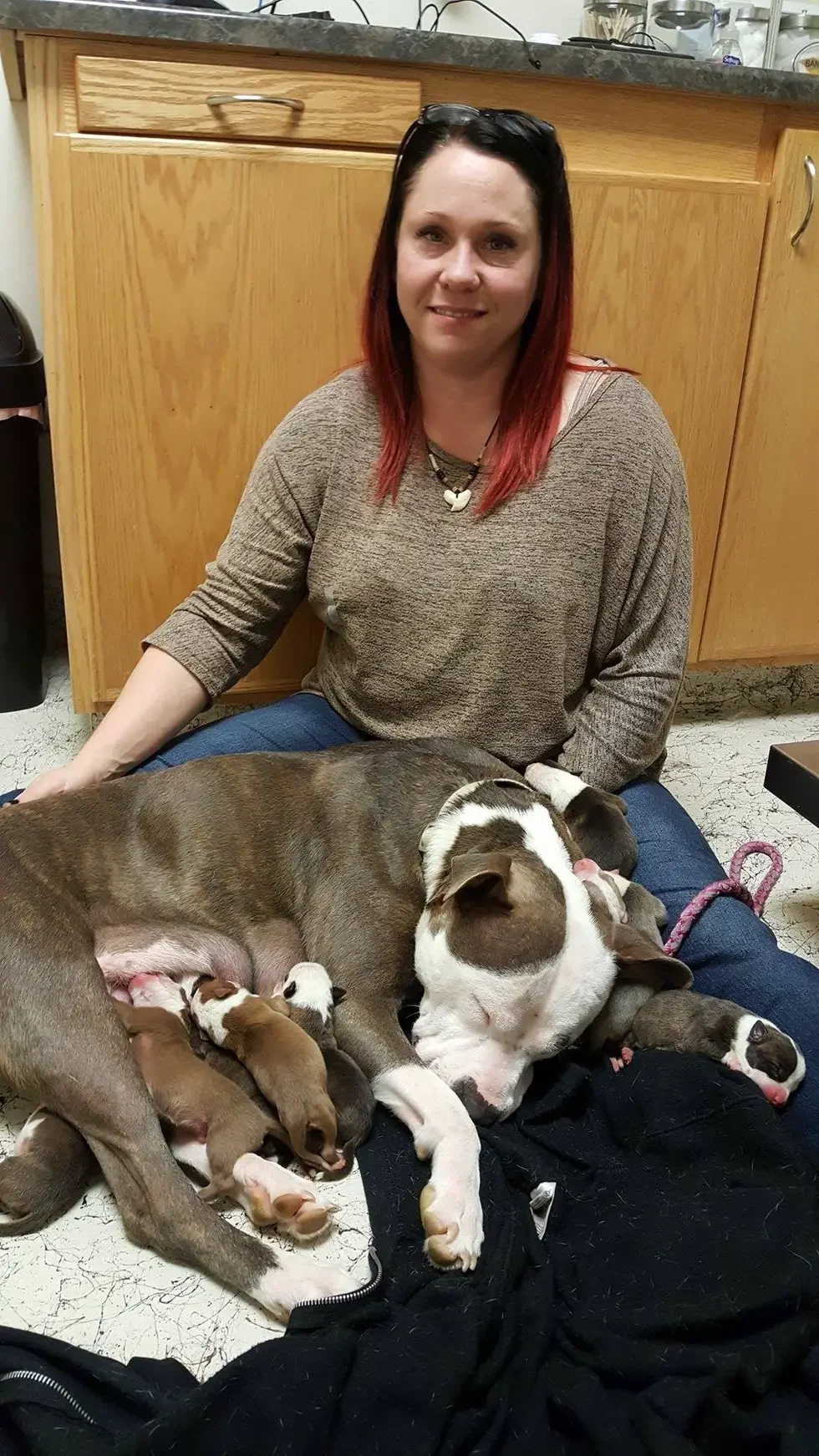 dog and puppies