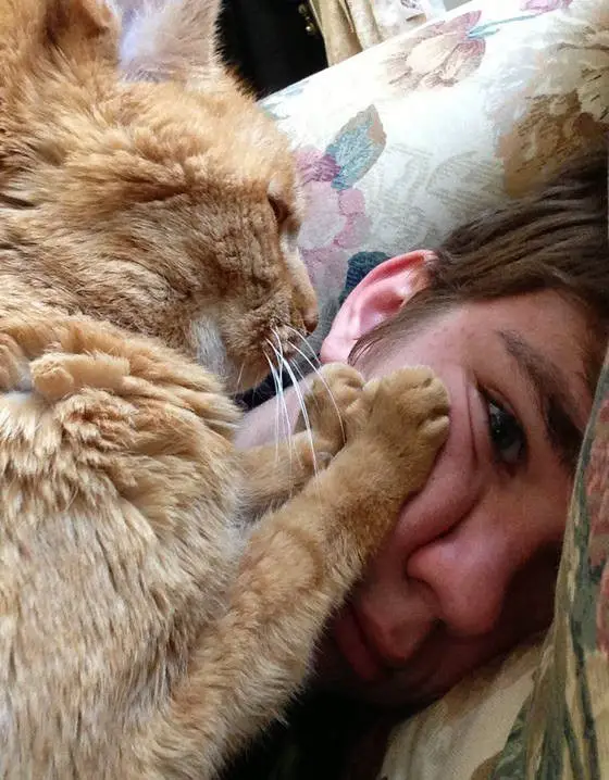 cat and human