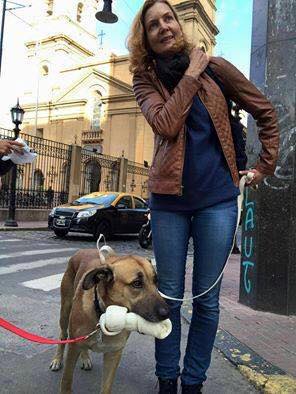 flight attendant and dog