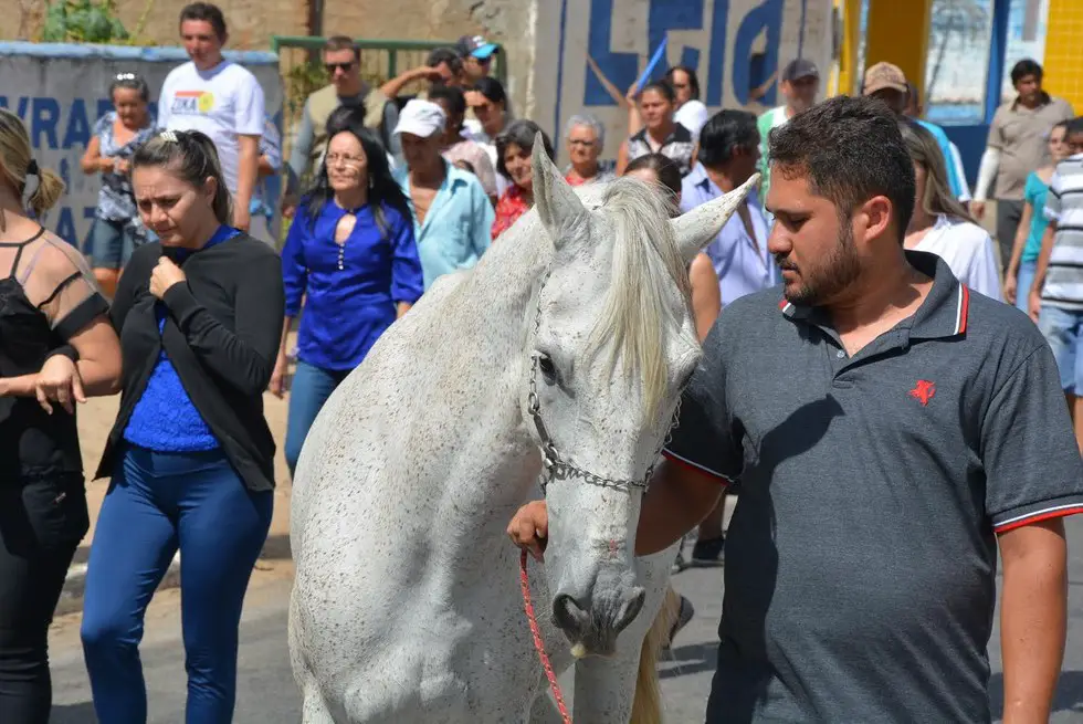 horse cries at funeral