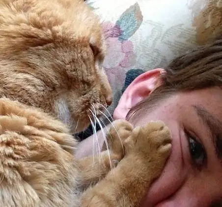 cat and human