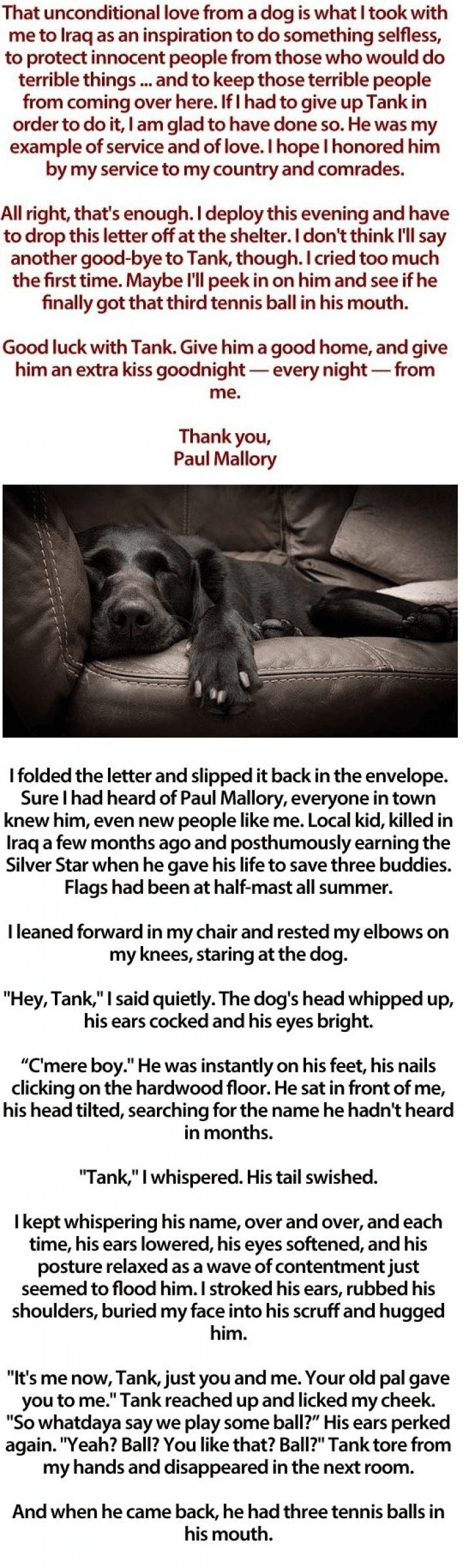 dog letter