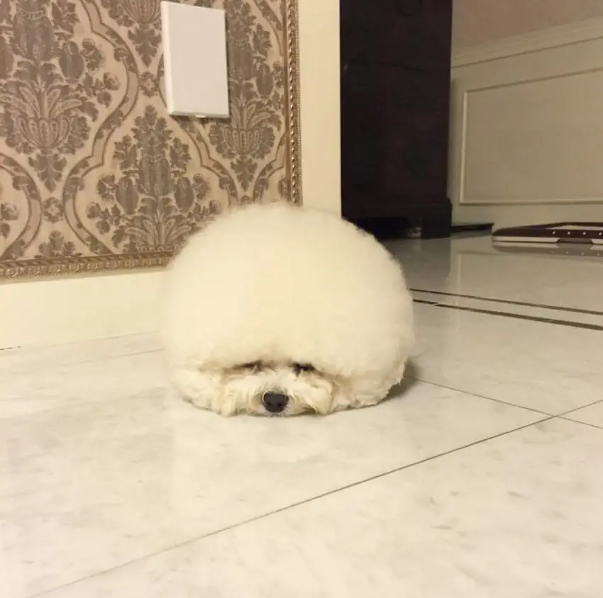 ball of cloud