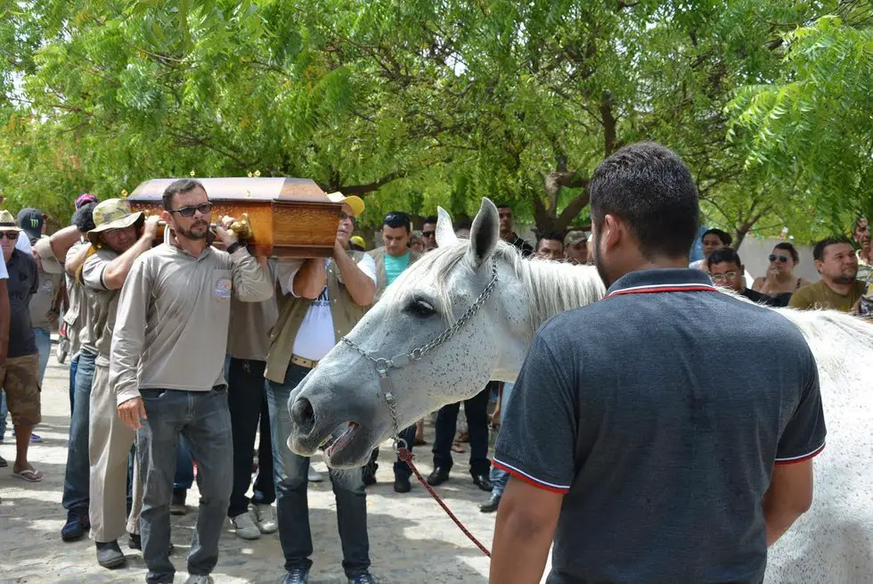 horse cries at funeral