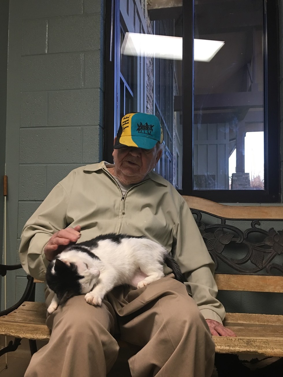 senior cat adopted