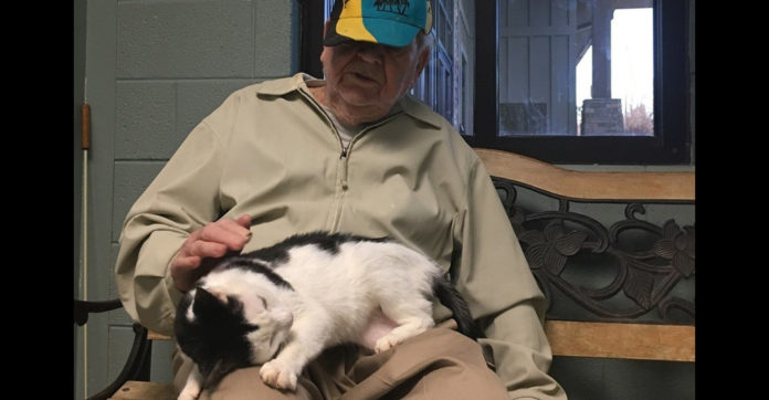 cat-adopted-older-man