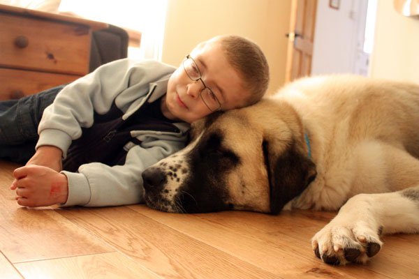 boy and his dog