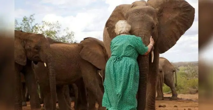 water-elephants-woman