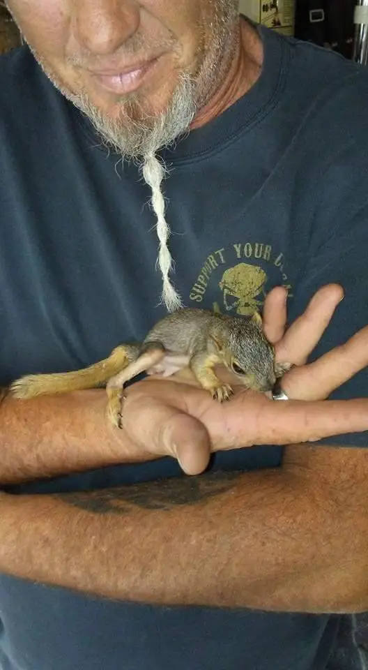 rescued squirrel