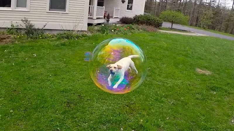 perfectly timed pictues