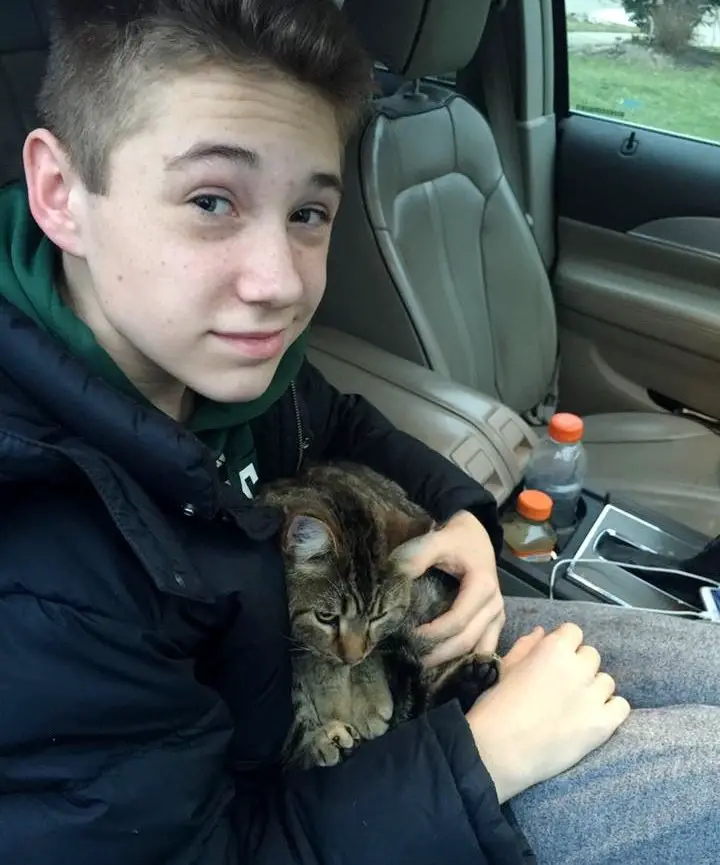 boy rescues cat