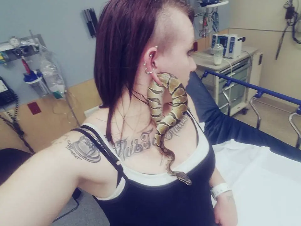 snake in earlobe