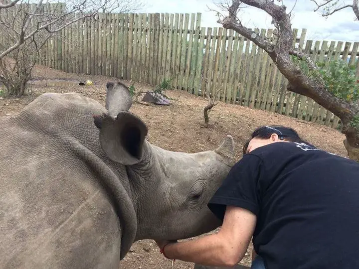 baby rhinos shot