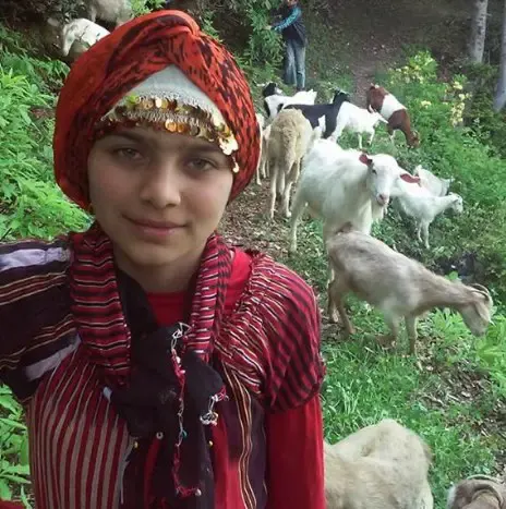 mother goat and baby