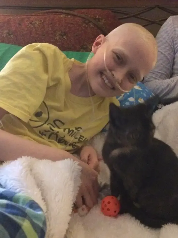 dying girl and cat