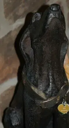 dog statue