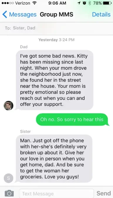 cat burial