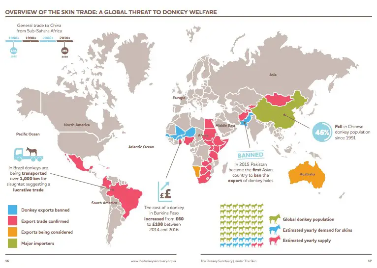 donkeys killed for their skin