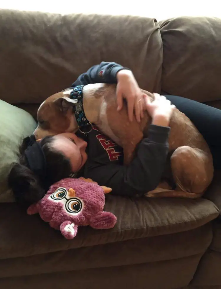 dog rescued from shelter