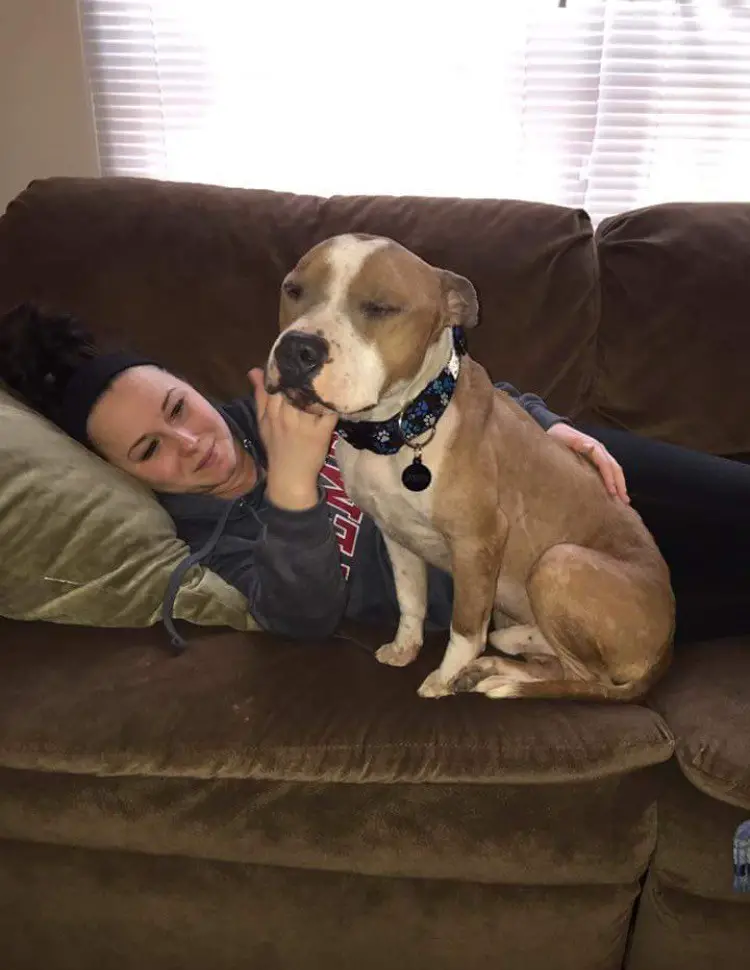 dog rescued from shelter