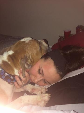 dog rescued from shelter