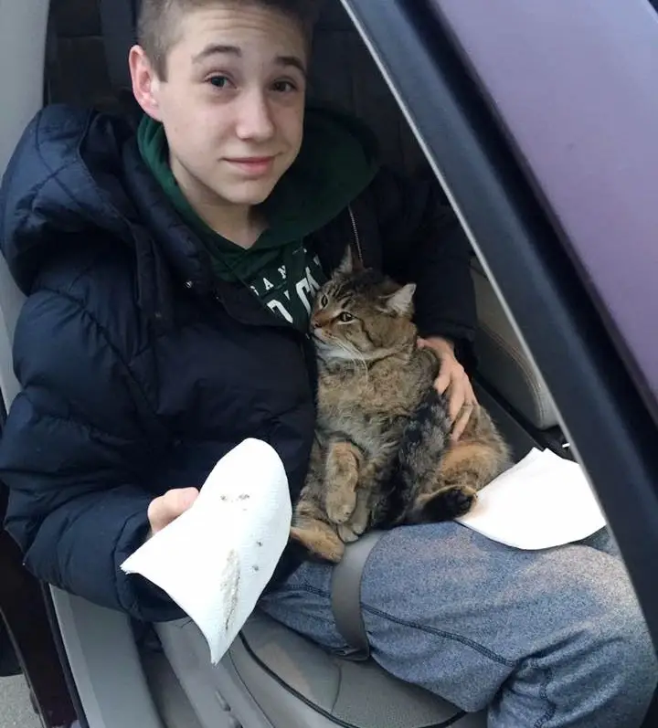 boy rescues cat