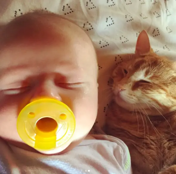 cat and sick baby