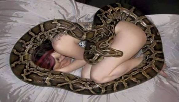 python and woman