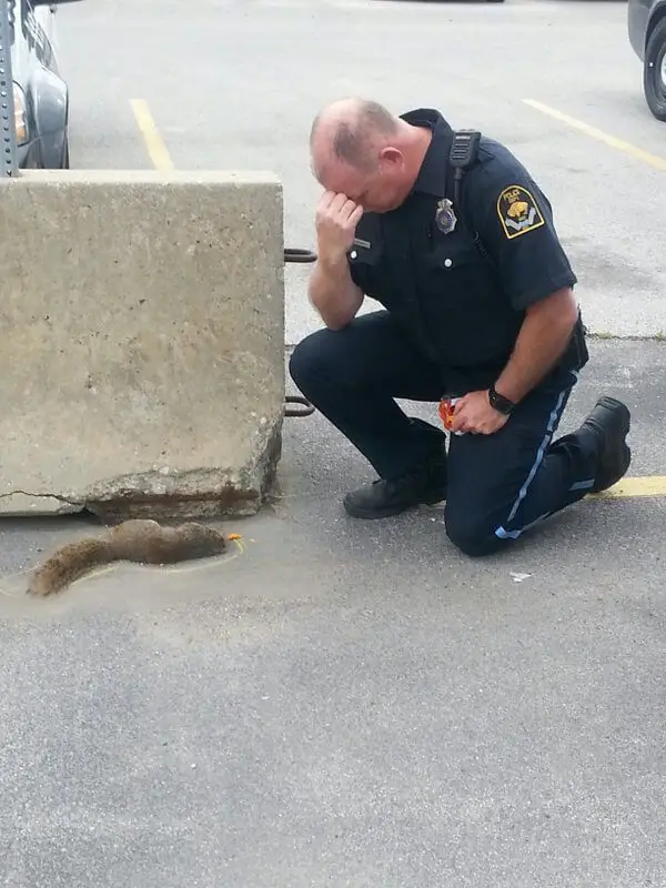 squirrel cop