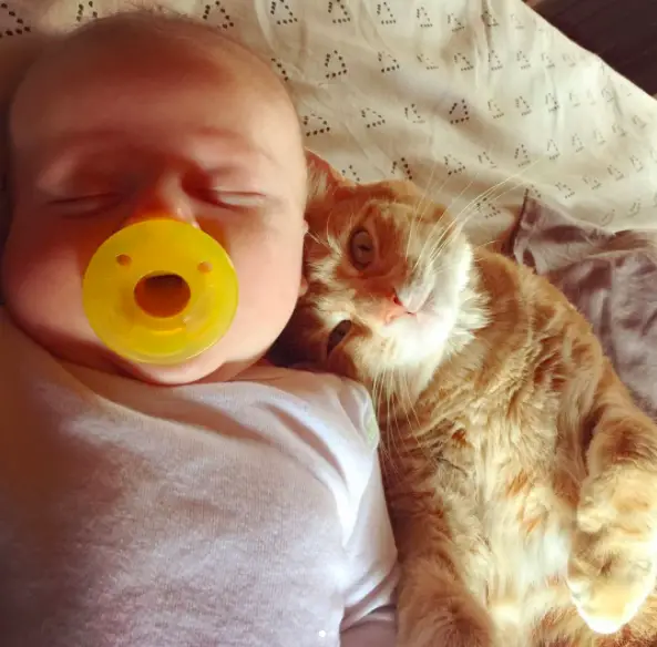 cat and sick baby
