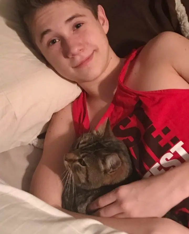 boy rescues cat