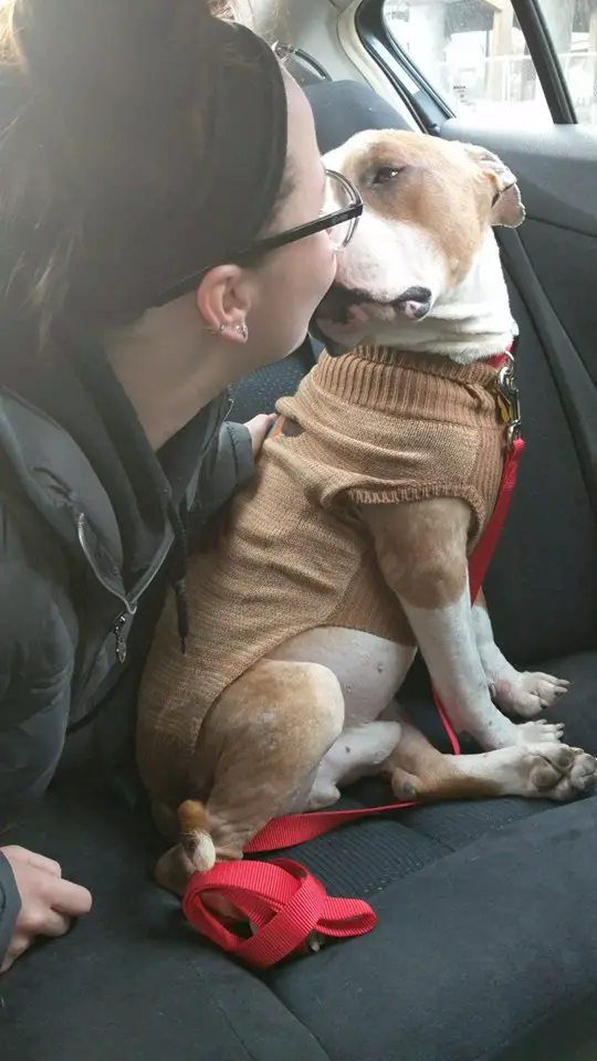 dog rescued from shelter