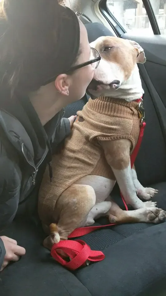 dog rescued from shelter