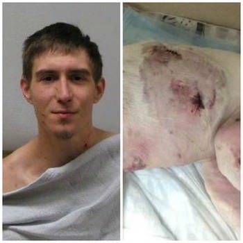 dog stabbed 9 times