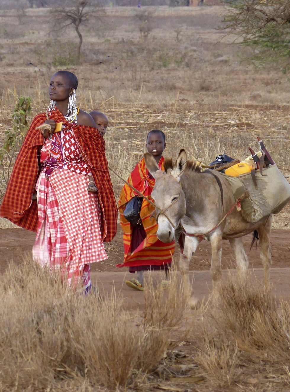 donkeys killed for their skin