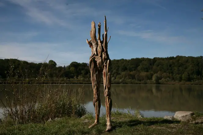 wood sculptures
