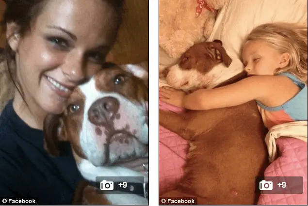 cop shoots dog