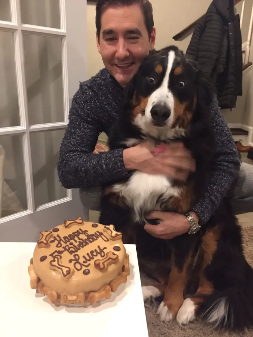 dog birthday cake