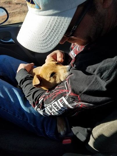 abandoned puppies