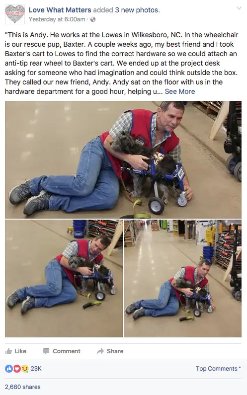dog and employee