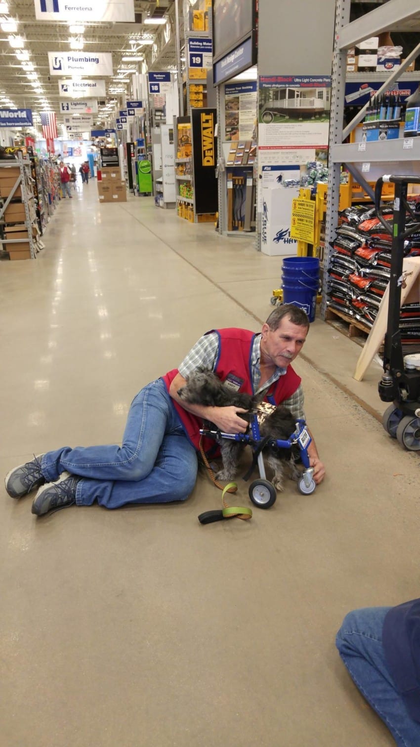 dog and employee