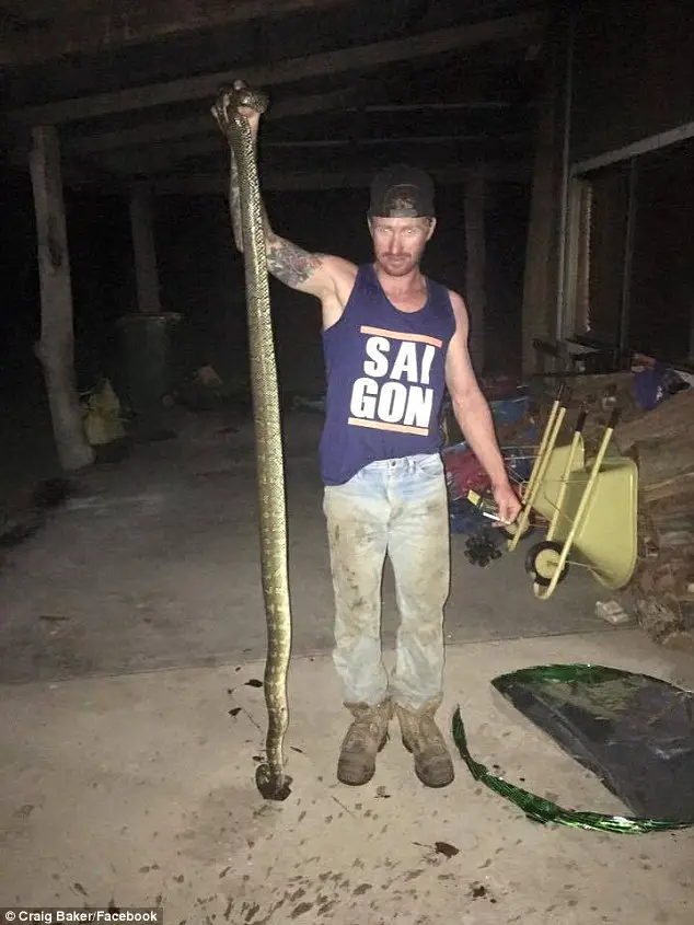 python bites child