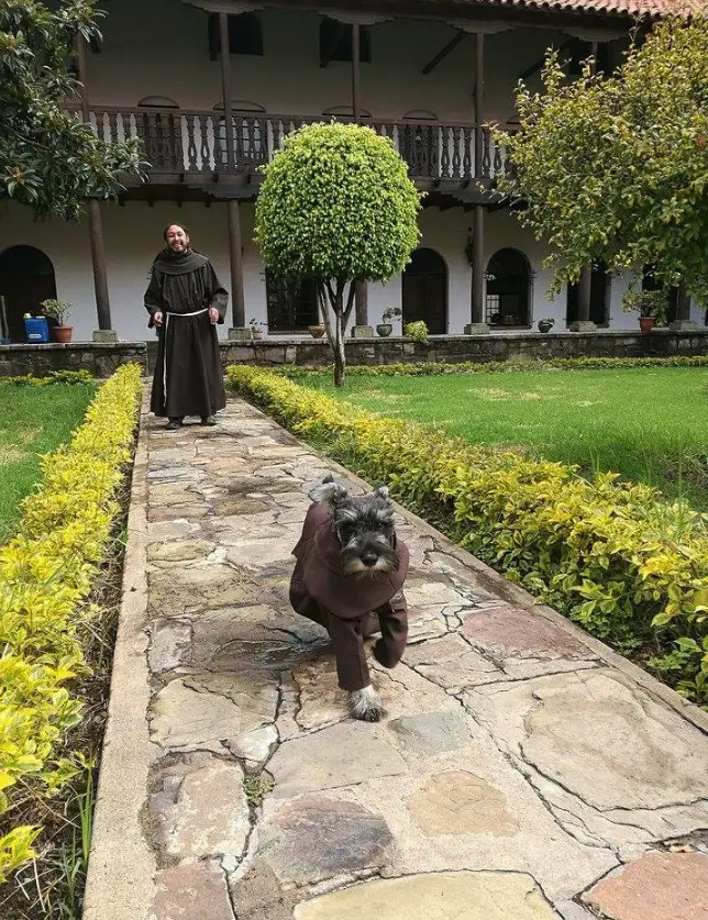 dog friar